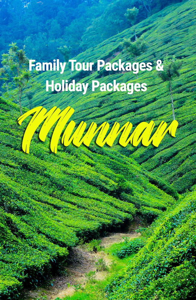 3 Days / 2 Night Munnar Package