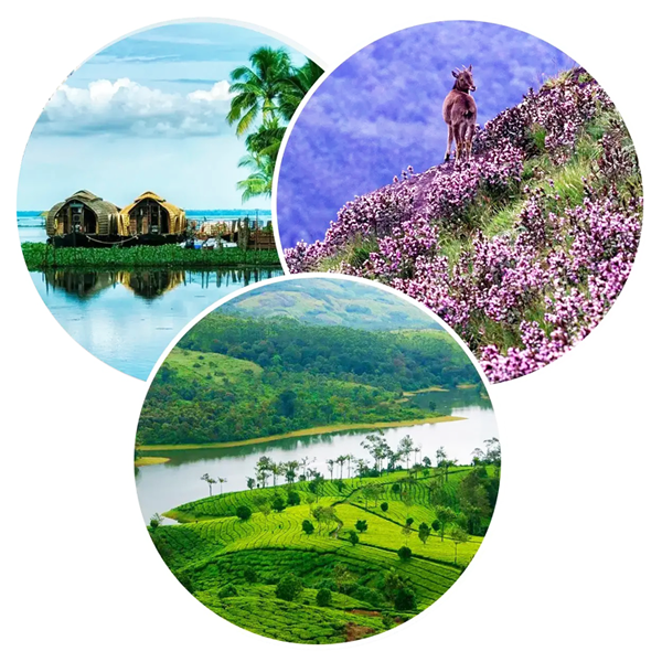 5D / 4N –  Kerala Package